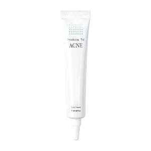 Get Your Troubled Skin Under Control with Pyunkang Yul Acne Spot Cream